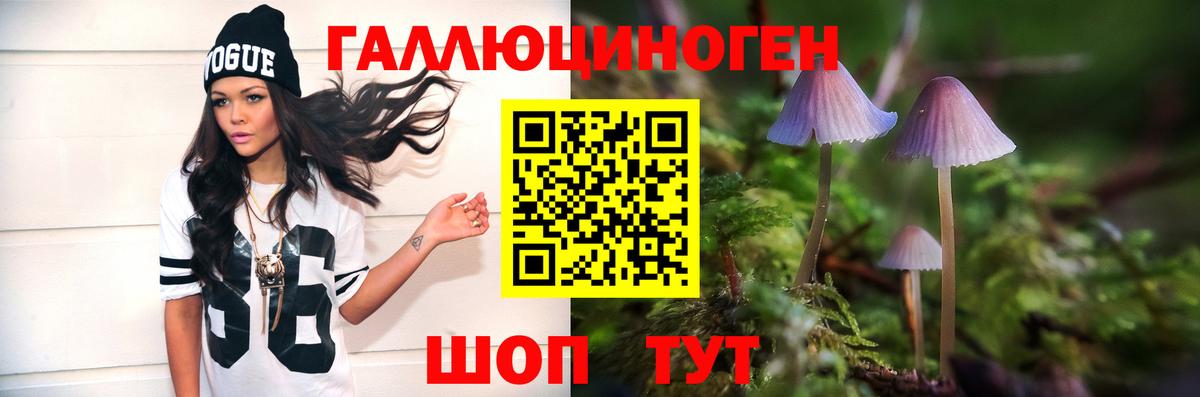 что такое   Вход с VPN  Орск  Галлюциногенные грибы MAGIC MUSHROOMS 